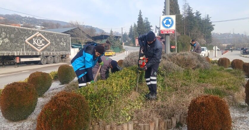 645769582 18519194620079512 1284773801345493376 N