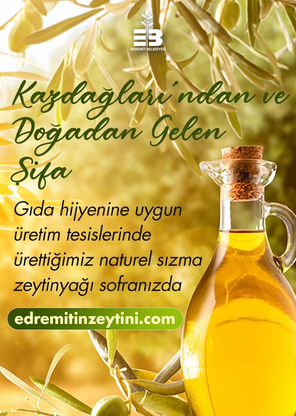 646510849 932098602514499 8551172884516946365 N