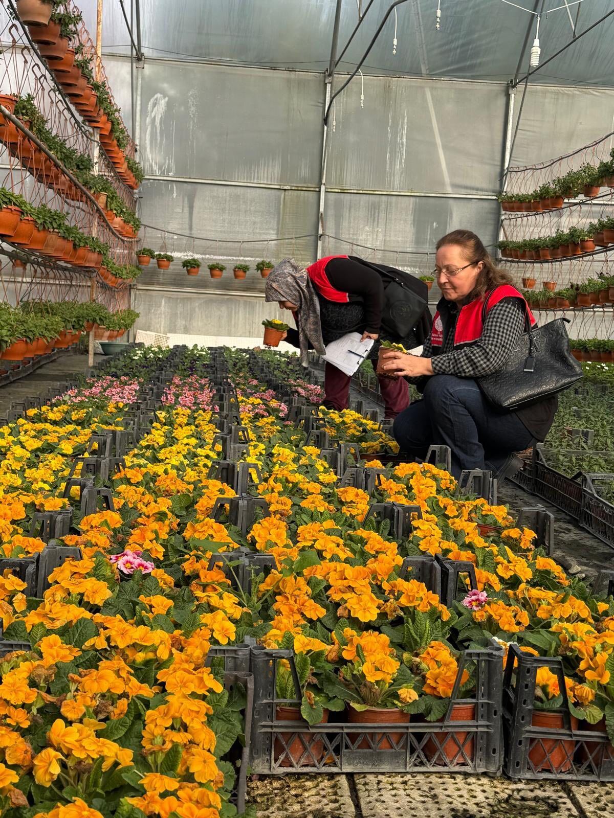 647683833 1331806845656841 3469812399792363055 N