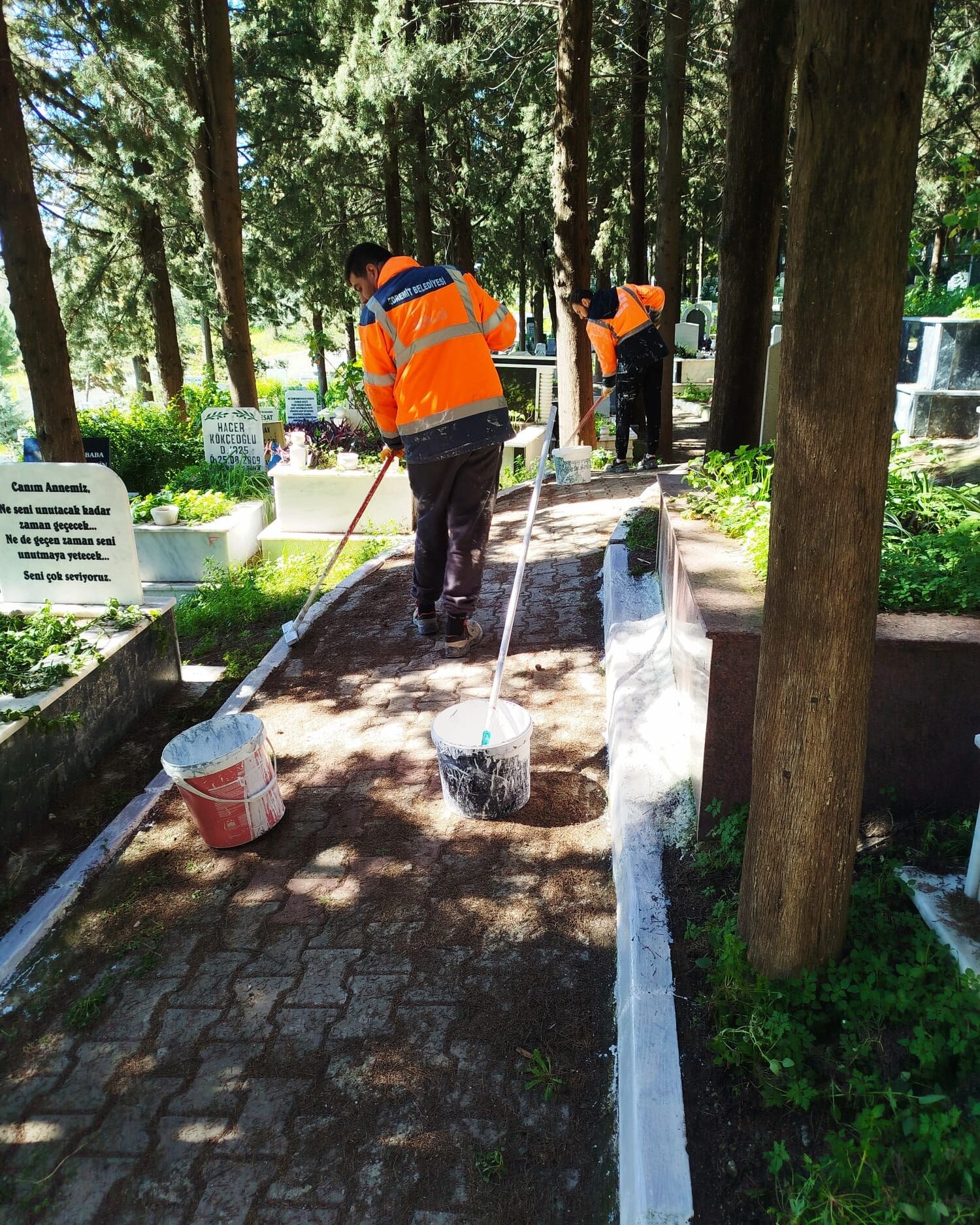 648584852 934271022297257 4057910531605552501 N