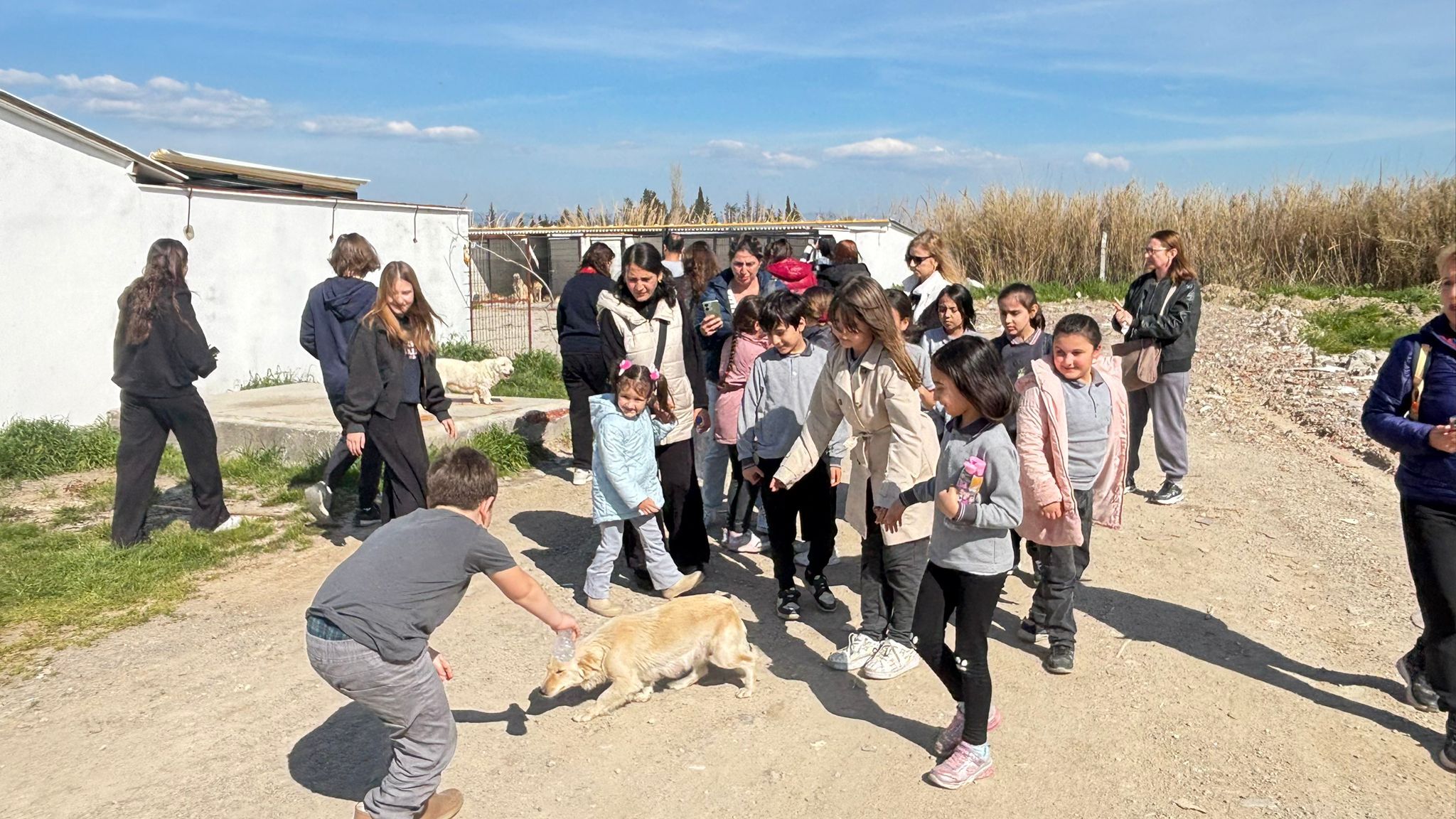 648843897 935113748879651 864746082844221844 N