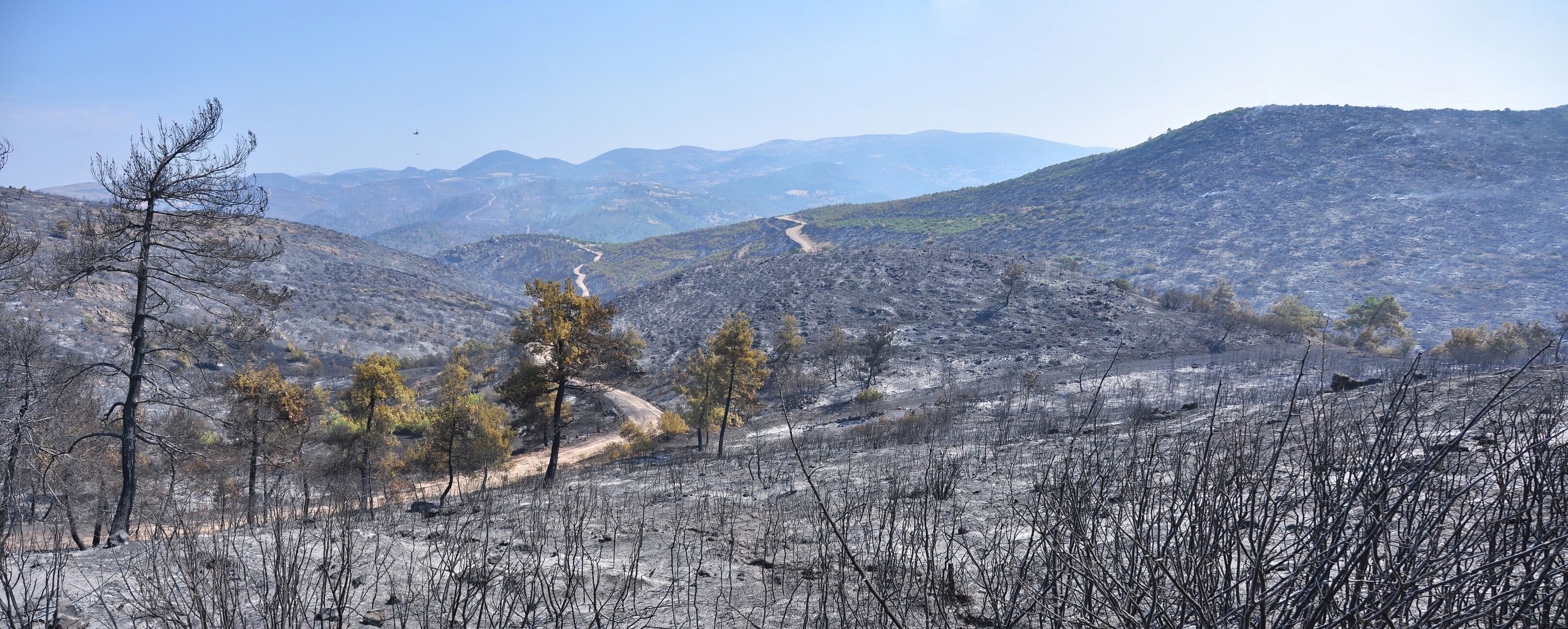 649690813 1388723163296018 2473176146016361154 N