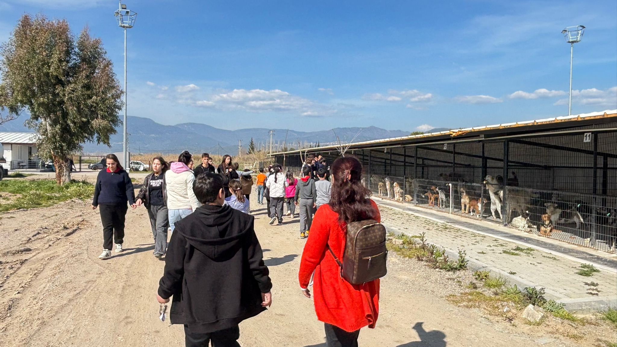 649900128 935113955546297 86820570979481389 N