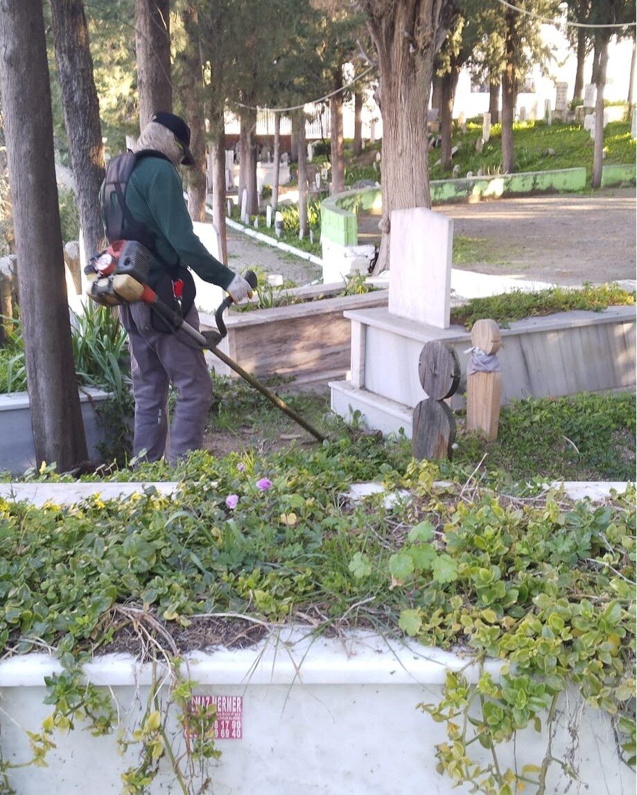 649999315 934270902297269 2644440070759270849 N