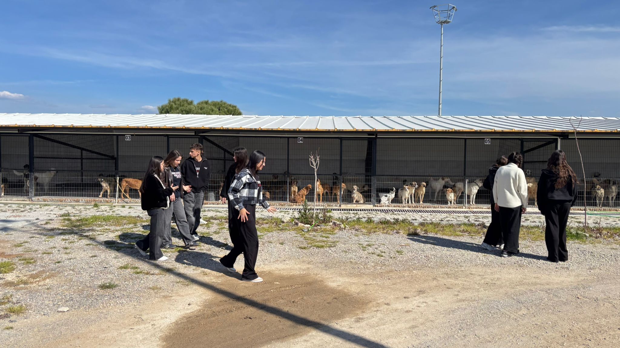 650416647 935113775546315 4580649001476686716 N