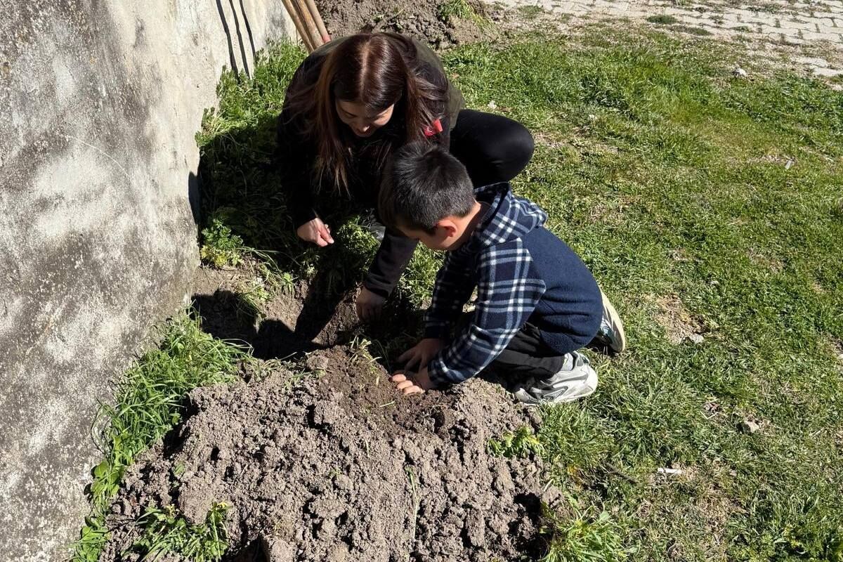 650737133 1389580939876907 7132914552856347127 N