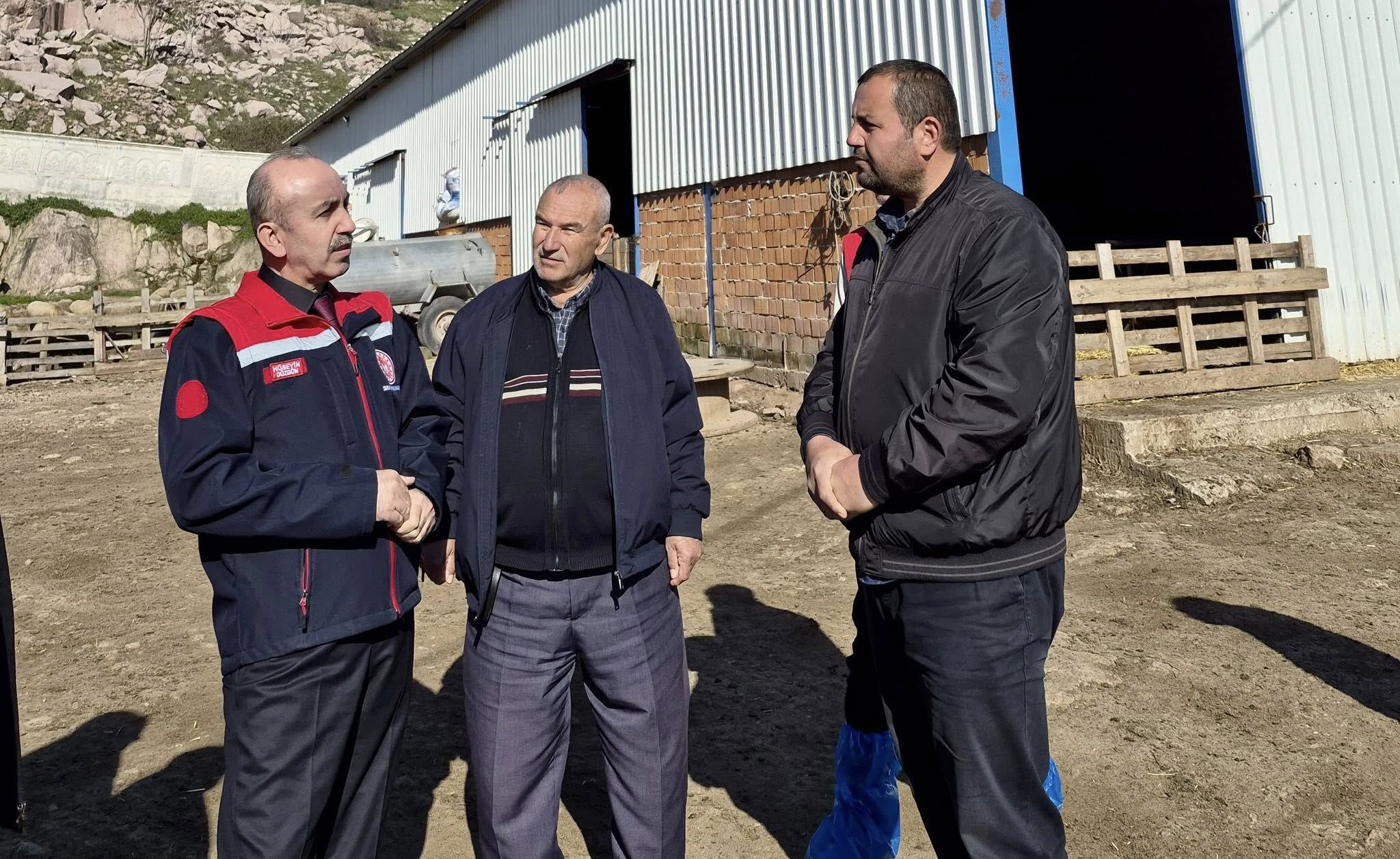 653036394 1341089798061879 3096703200954475136 N