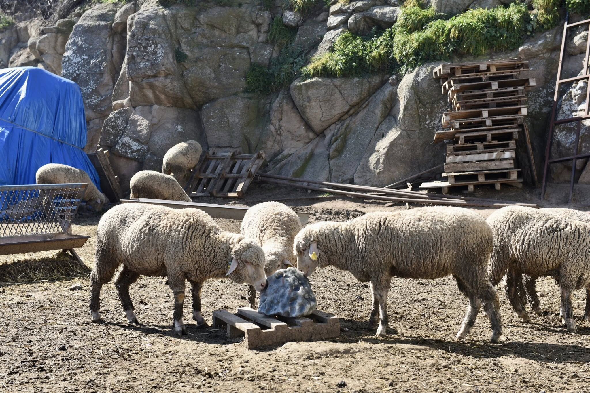 653704142 1341089664728559 4576985435020979994 N