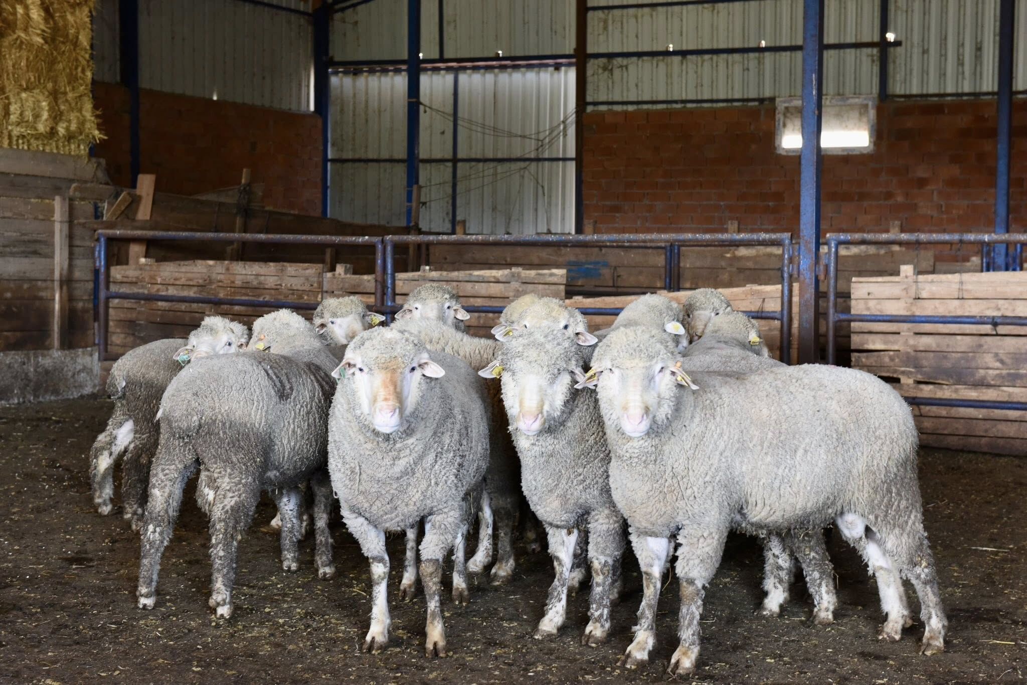 653820569 1341089808061878 6948983137008032531 N