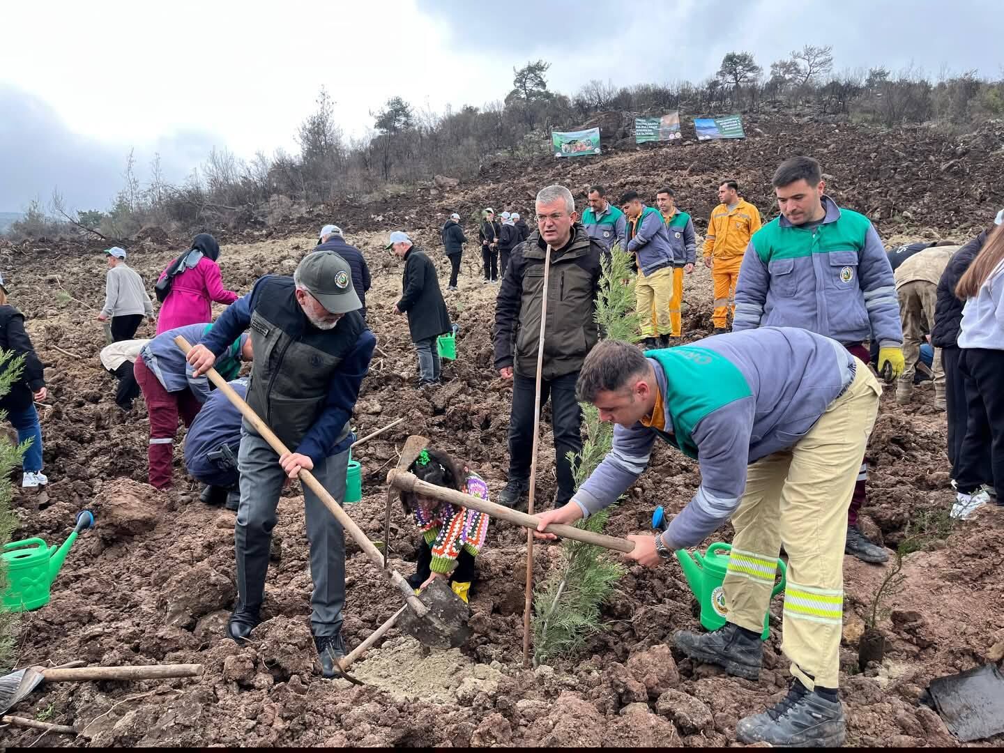 656005634 1259716939694634 1840438970463255197 N