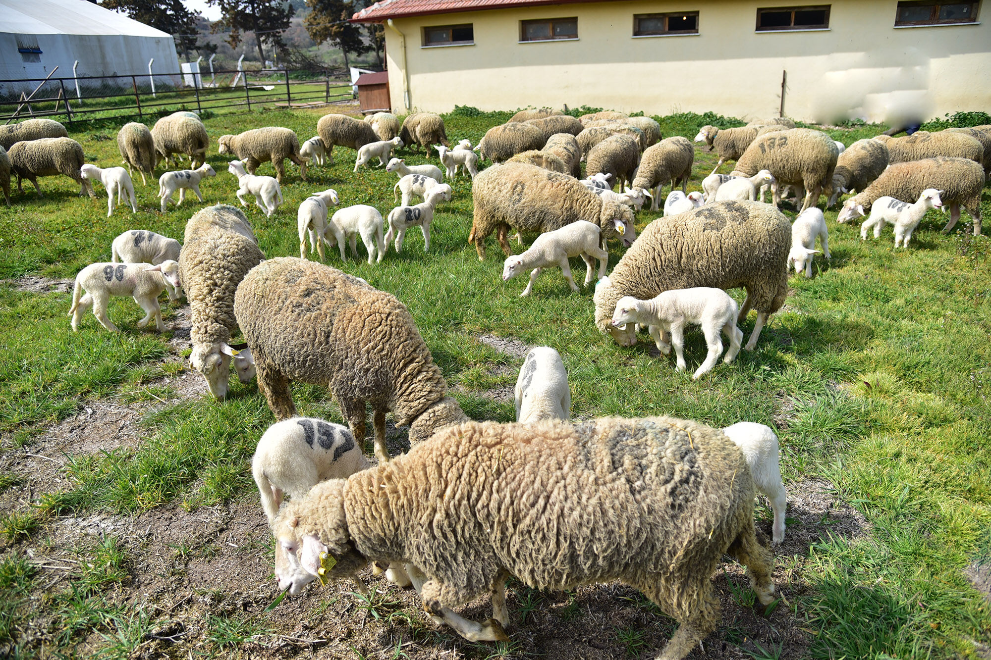 656863481 1378671854290002 9100037235611324672 N