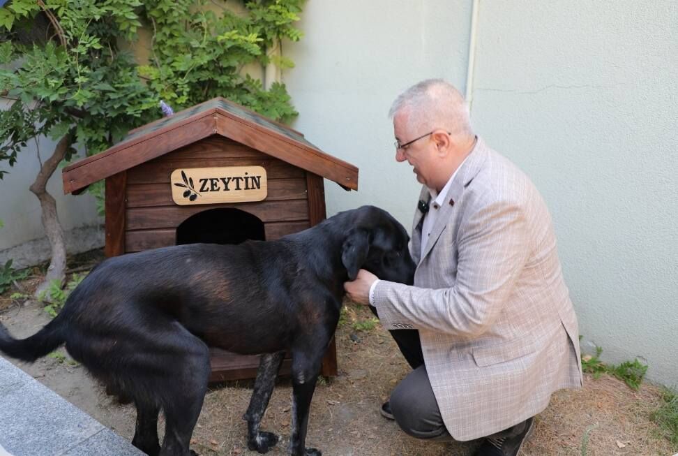 657973073 944629334980406 5431486350902469512 N