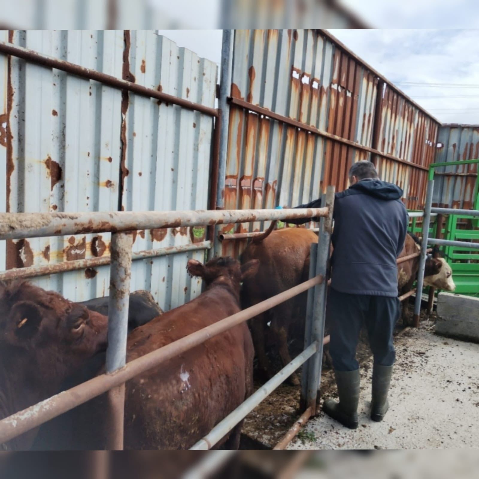 657984572 1349135510590641 5621933195701410877 N