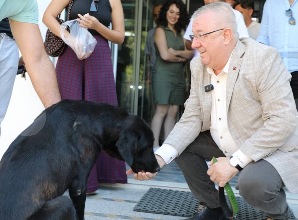 660133130 944629424980397 6890440733933409541 N