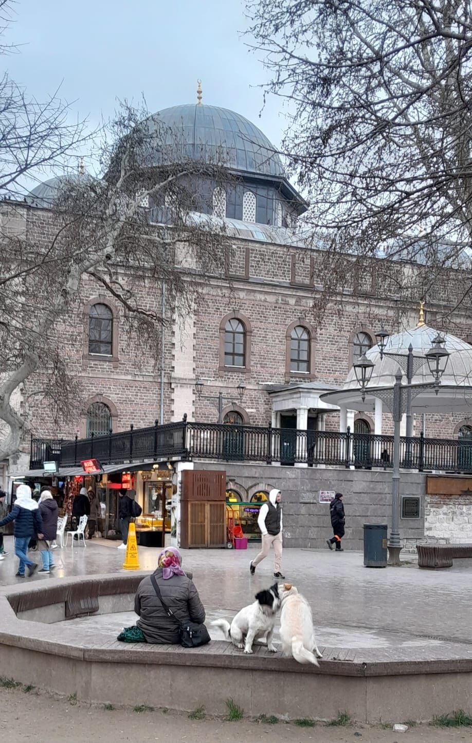 8D2F8A2D 2D20 46Dd Be1C F2A6Dcf7C86C