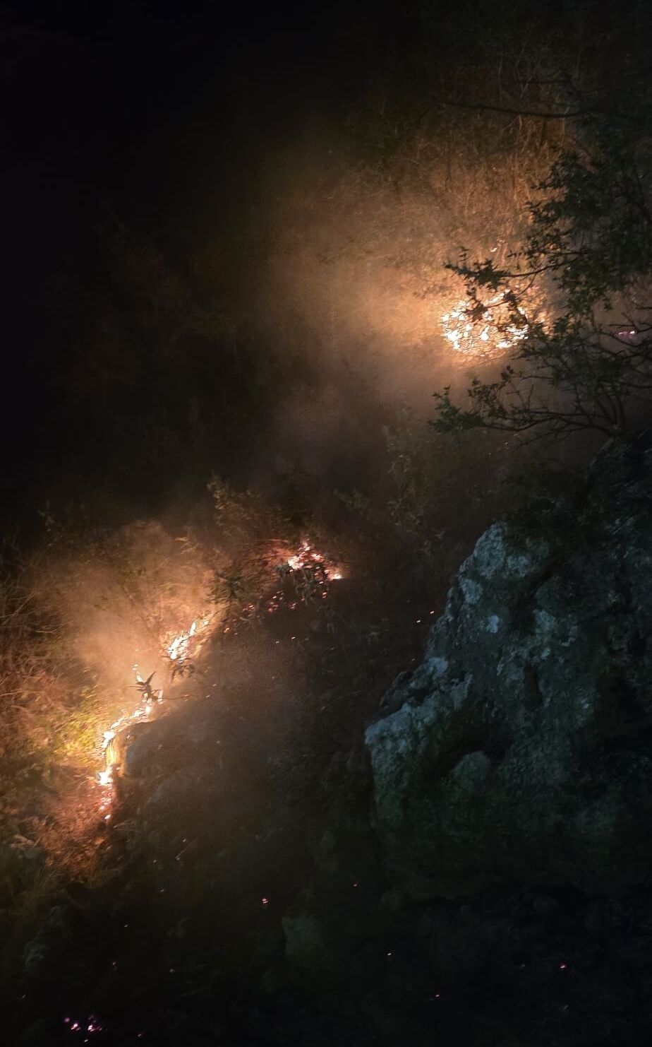 A A 20260313 40817589 40817587 A L A N Y A D A O R M A N L I K A L A N D A C I K A N Y A N G I N S O N D U R U L D U