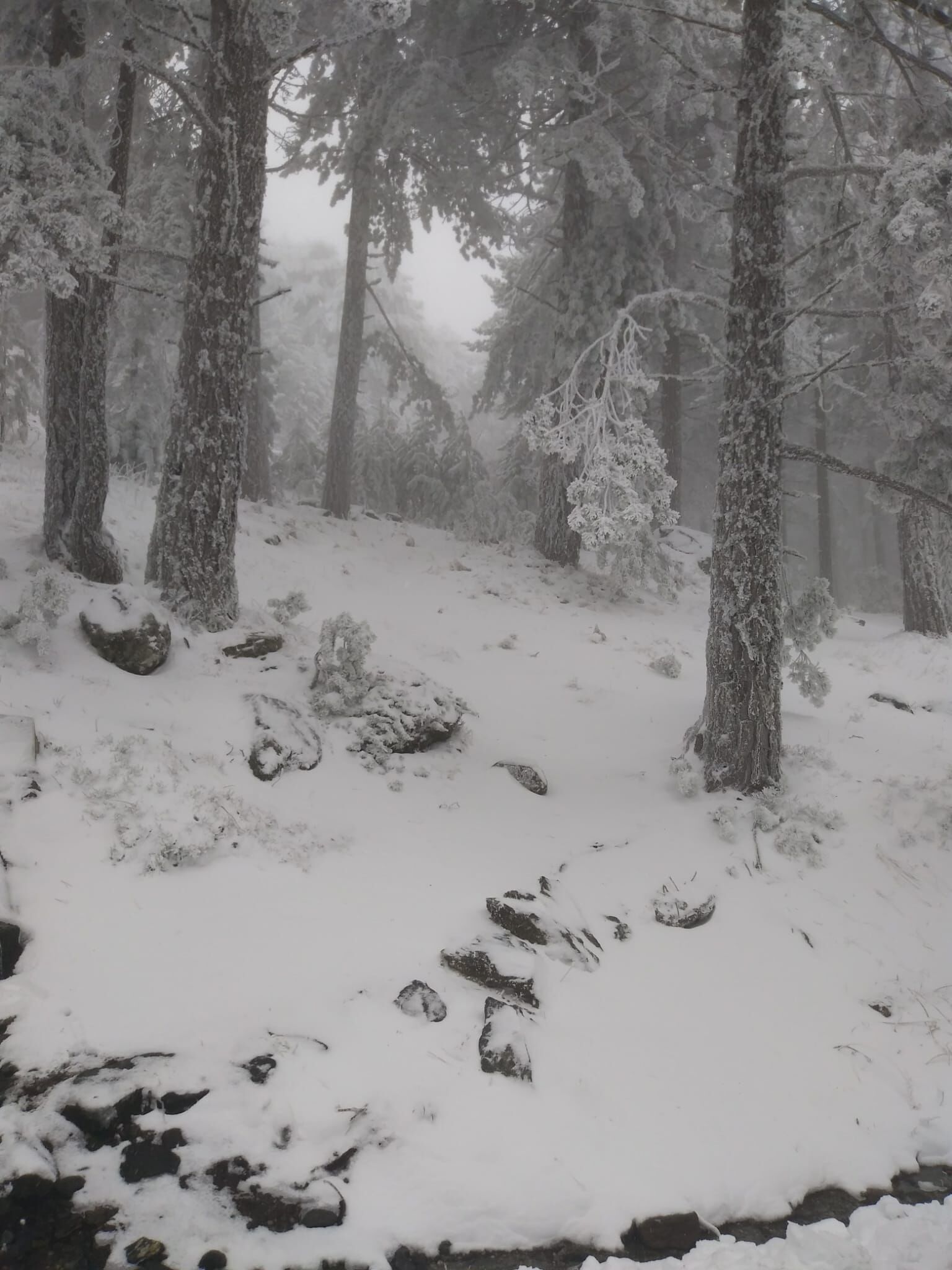 A A 20260322 40901216 40901214 K A Z D A G L A R I M I L L I P A R K I N D A K A R E T K I L I O L D U