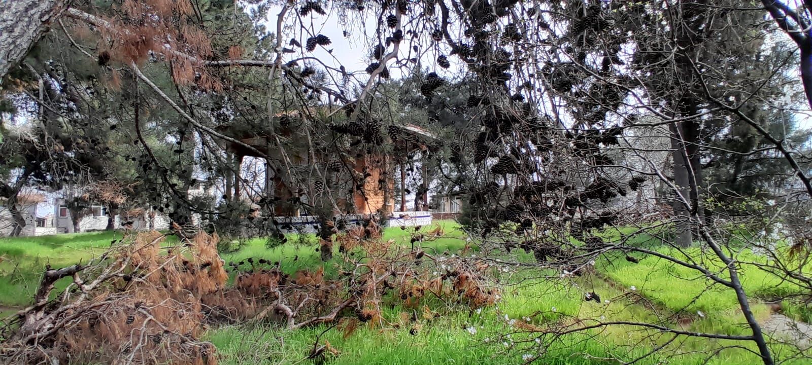 E763821B 16Af 4Fc6 8C64 D9630A545491