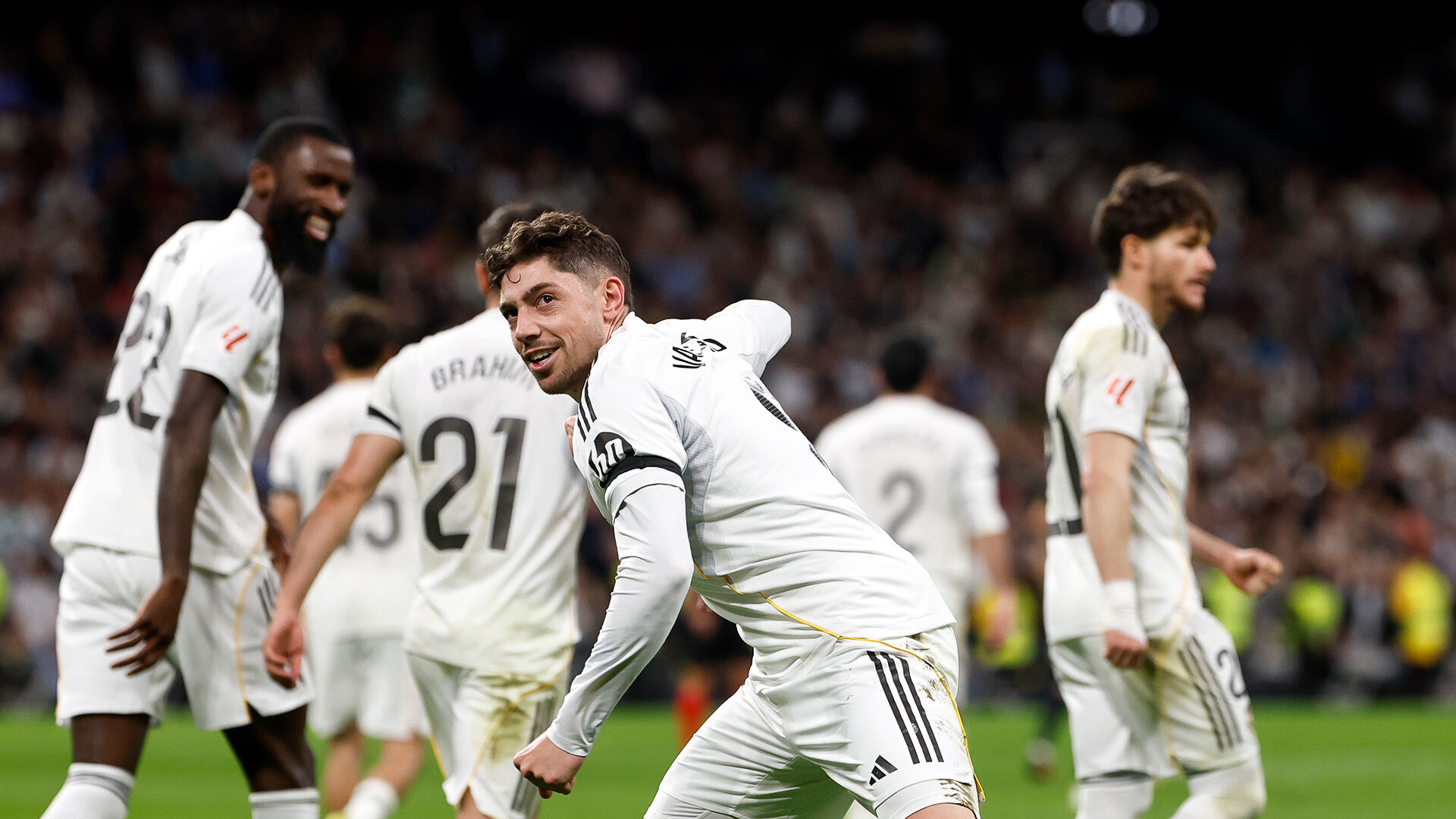 H D Zp F L Wg A A X O