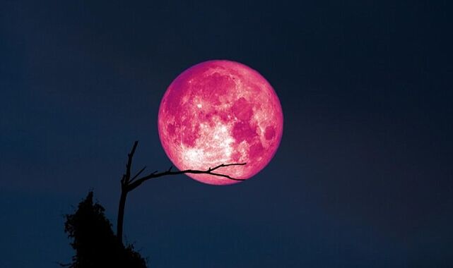 Pembe Dolunay Burclari Nasil Etkileyecek 6246