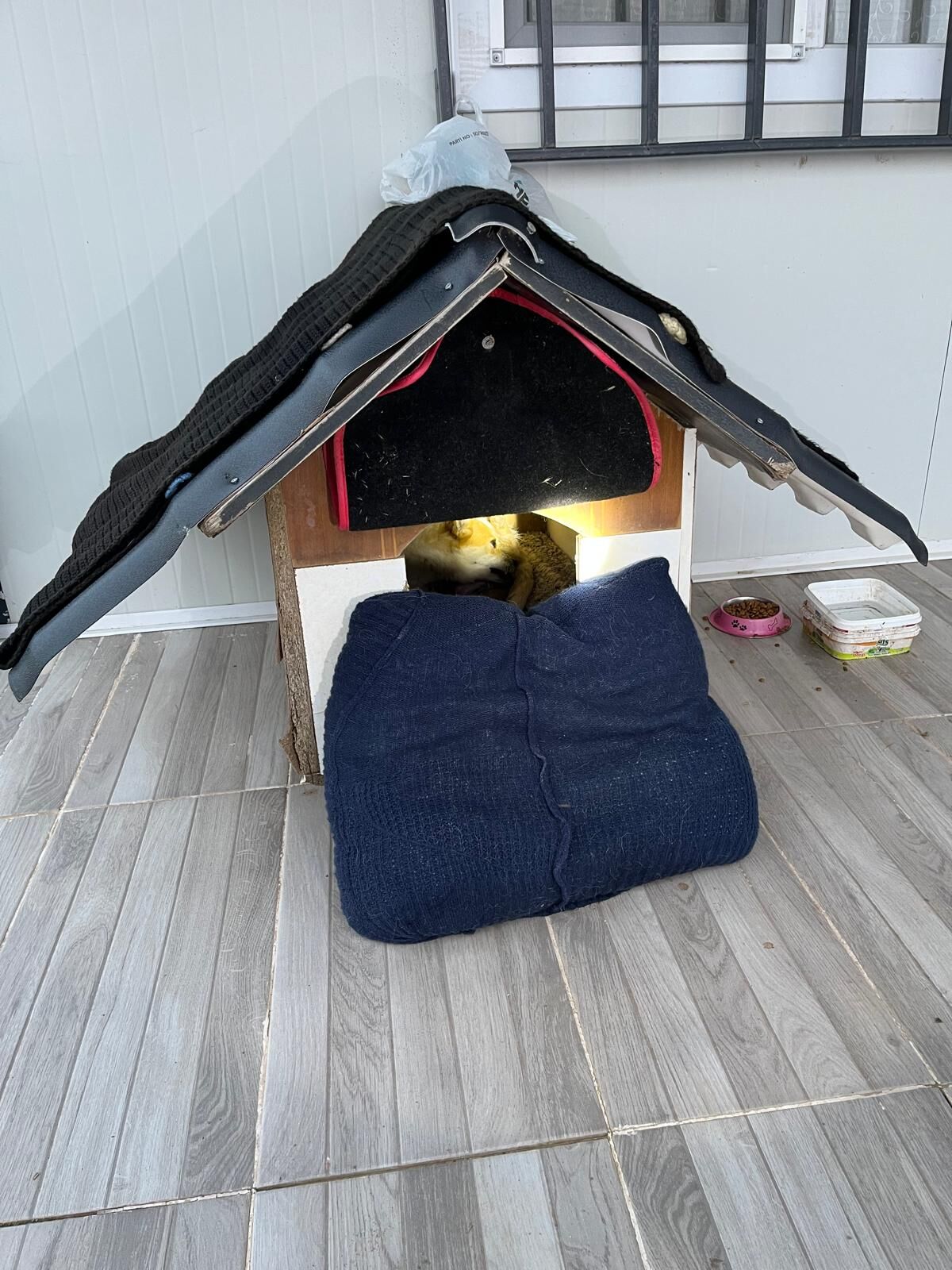 Whatsapp Image 2026 03 05 At 20.21.32 (1)