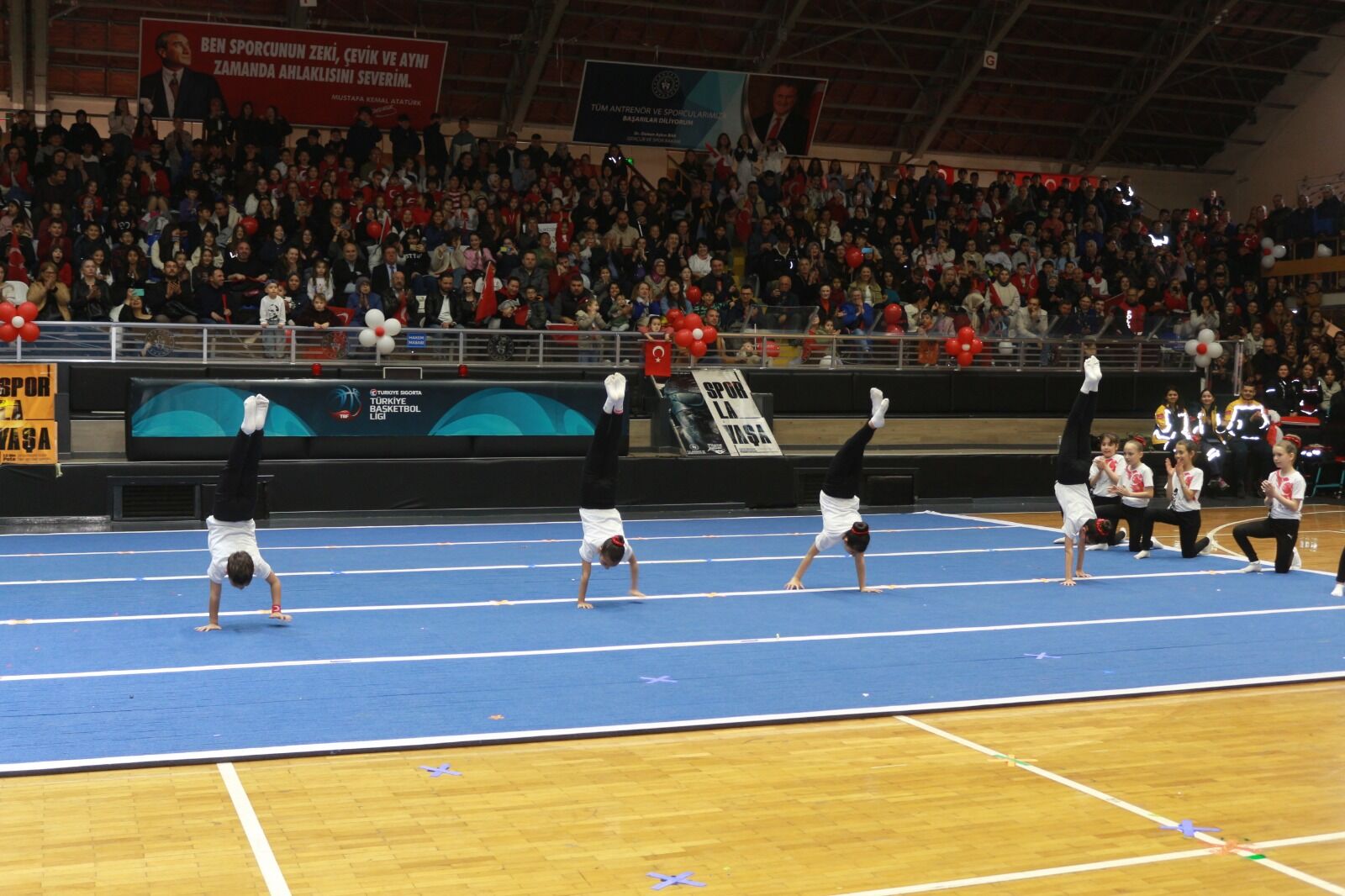 0268C1A5 280F 4313 9768 9B5E156Ad4Bb