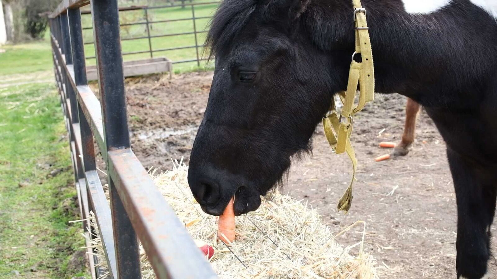 662300147 1389683089855545 7326416965897372936 N