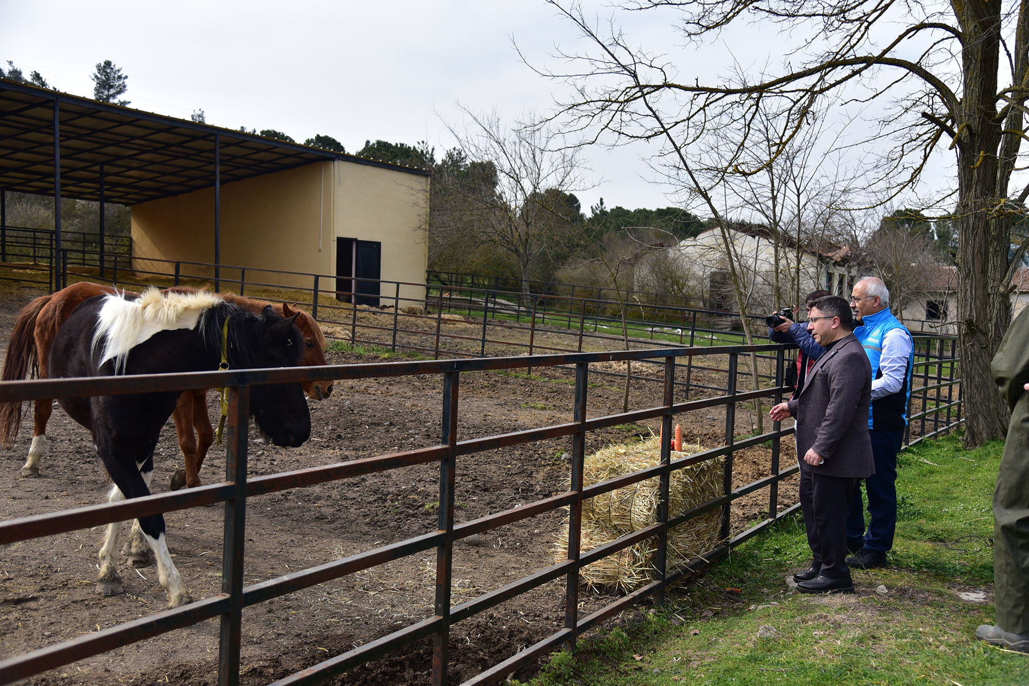 662625564 1389683113188876 234825836146312225 N