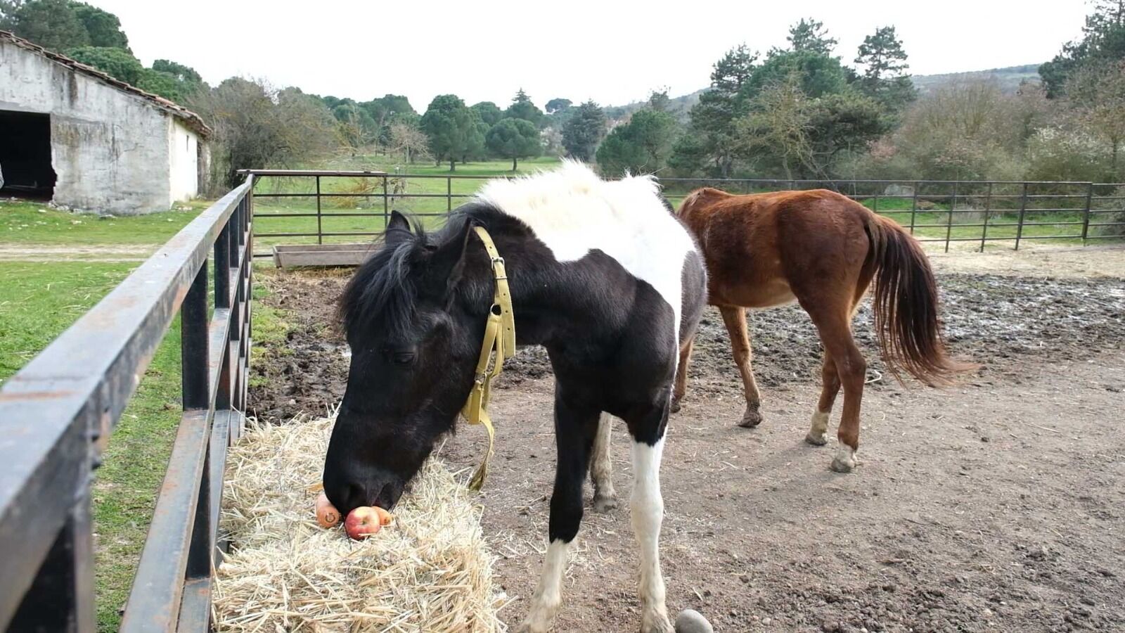 666027528 1389683093188878 3024506124959301503 N