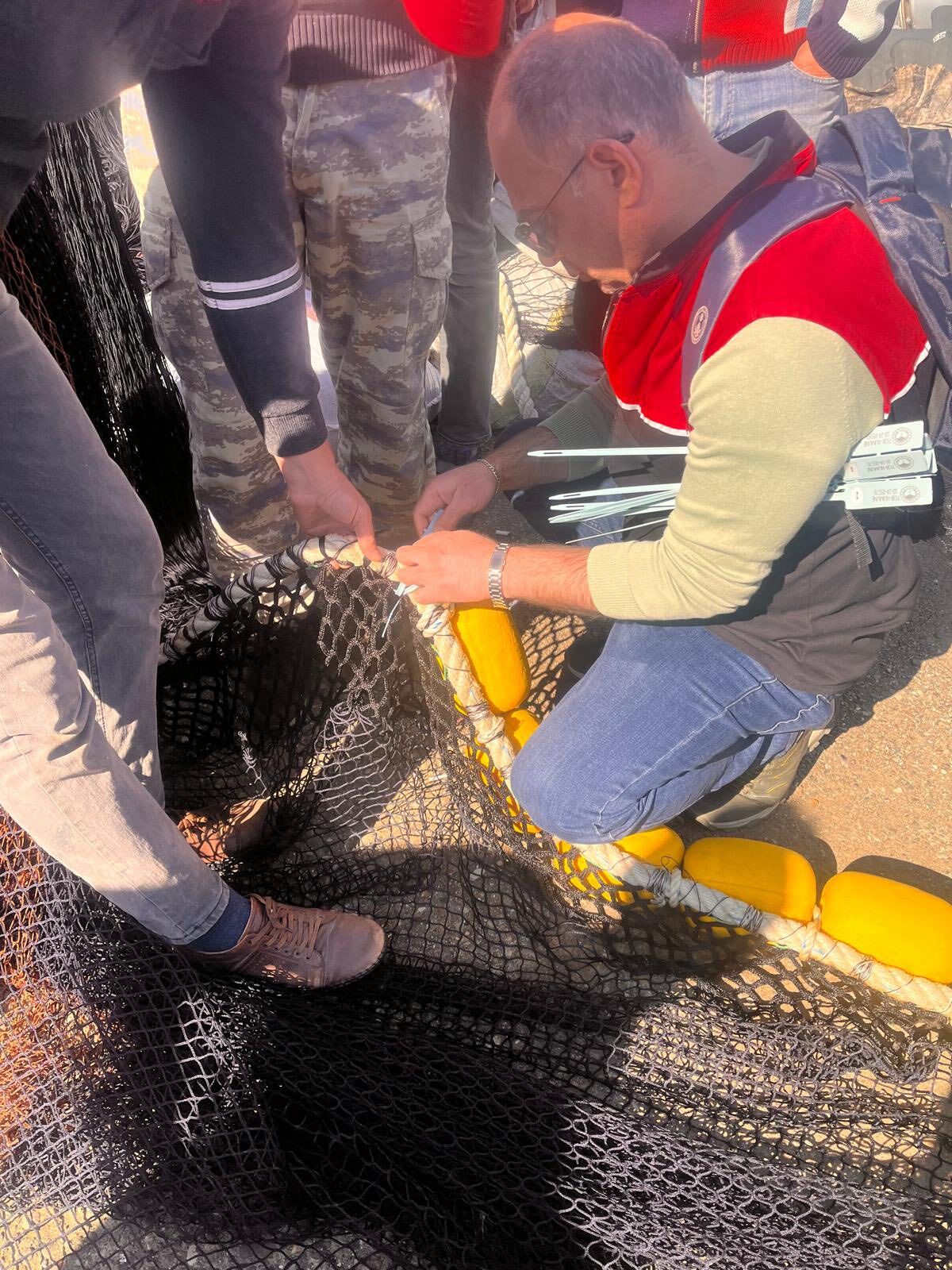 666284615 1267897138792885 8744787517937753768 N