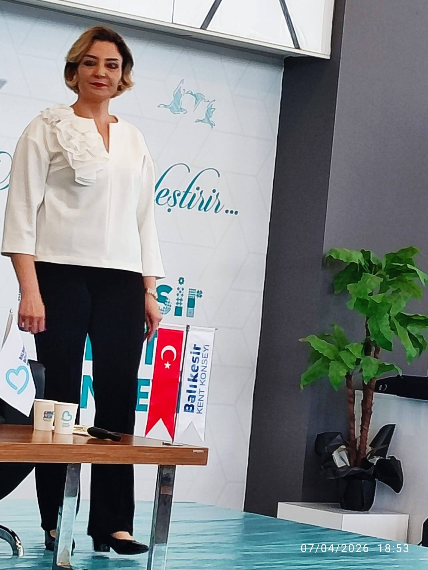 667298258 26824620017174951 9088881298263714625 N