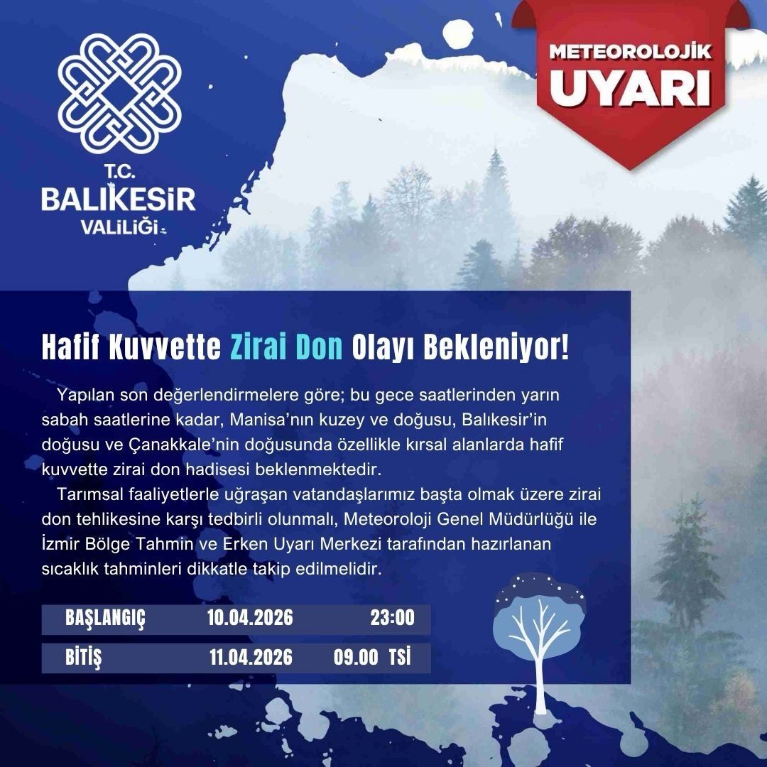 669818632 18332120572222704 8823692719908165577 N