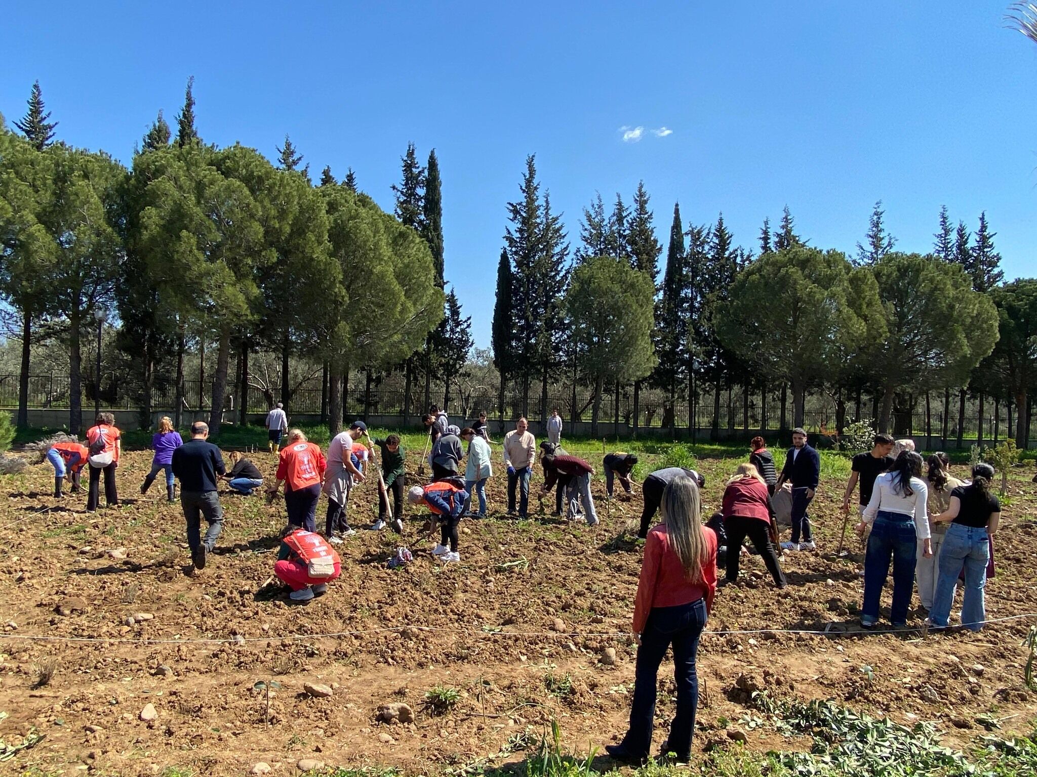 669884911 1396201792537008 1214880334940246073 N