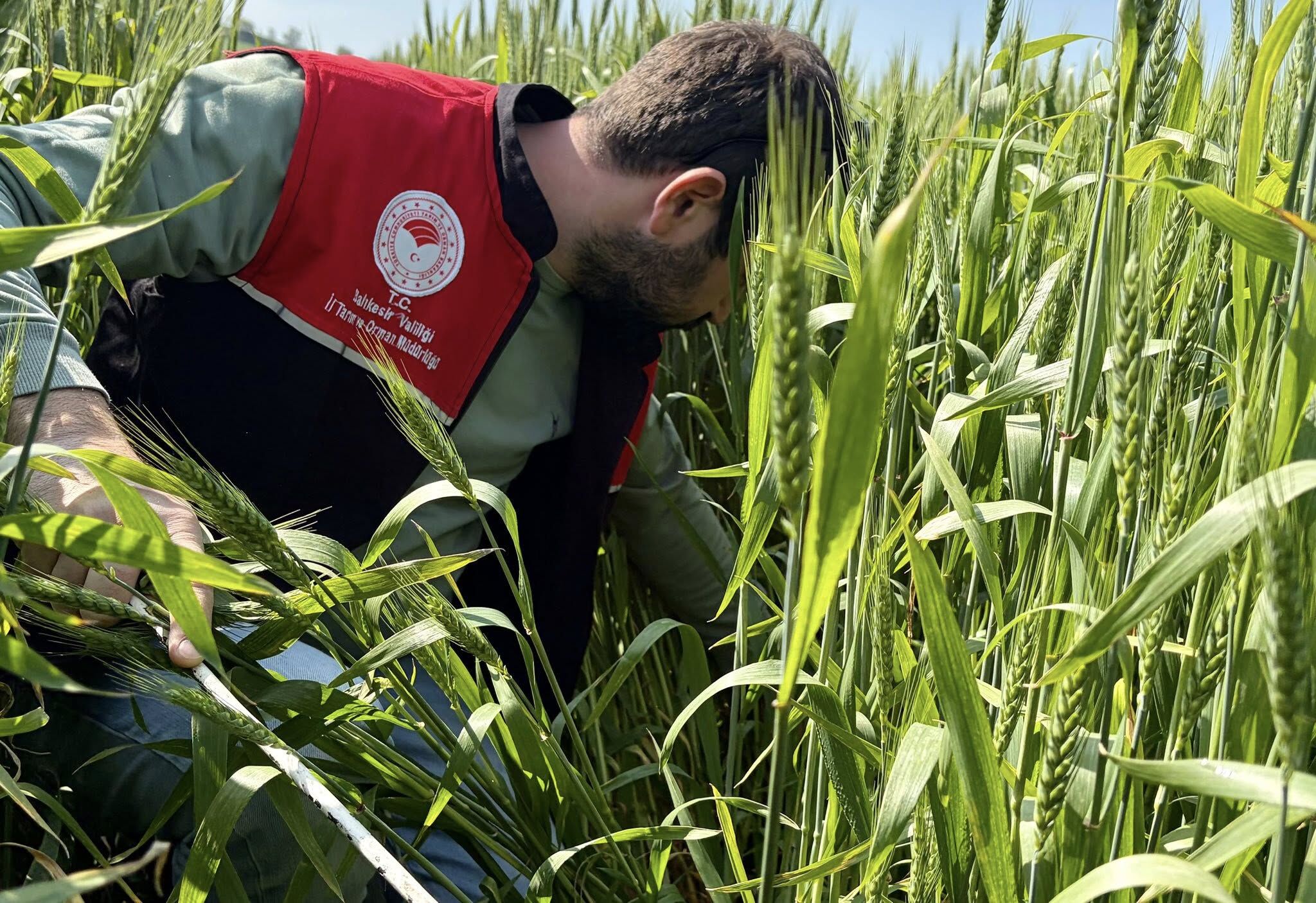 674967808 1369646475206211 7641703554299978453 N