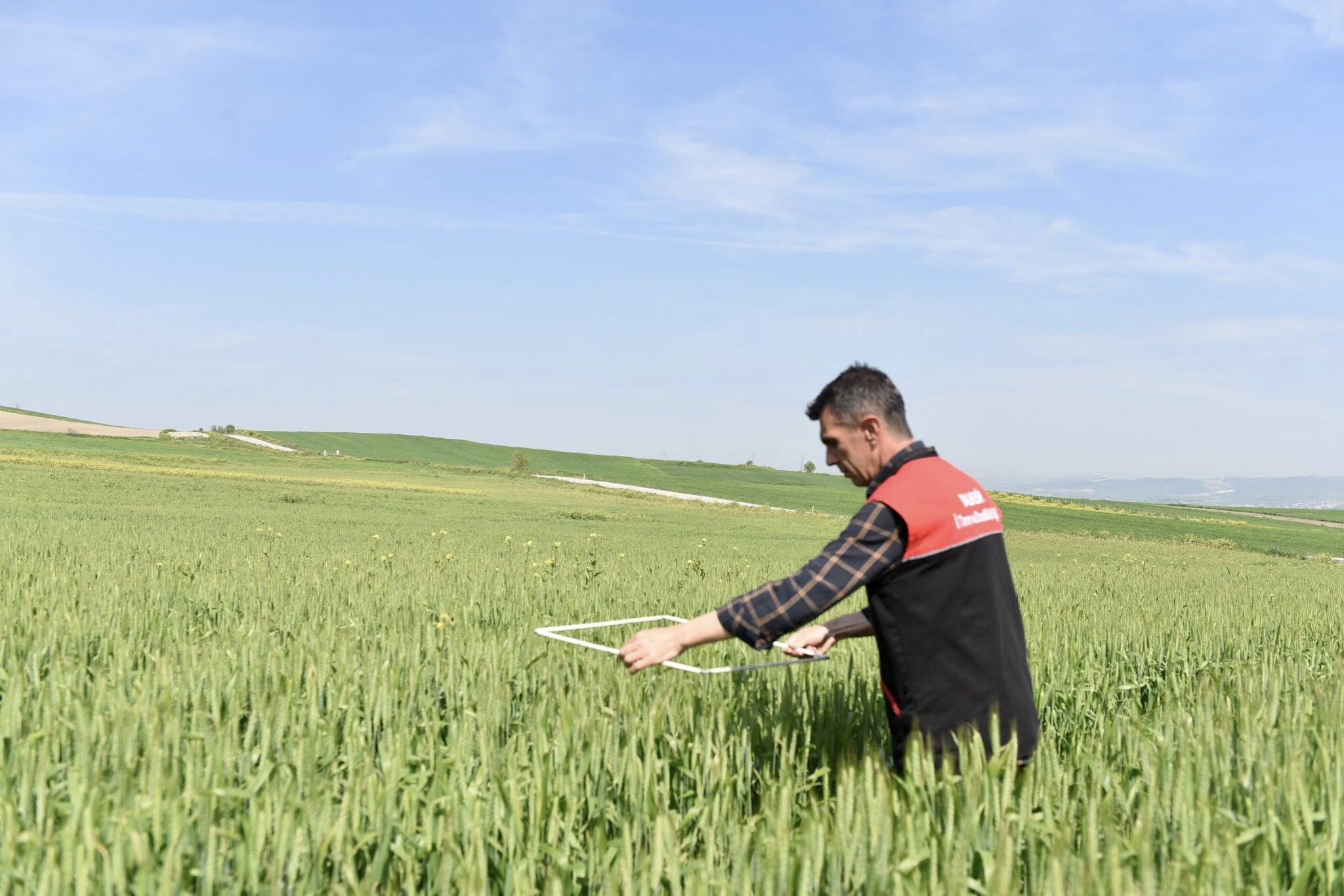 677164986 1369646348539557 1009458787110126924 N