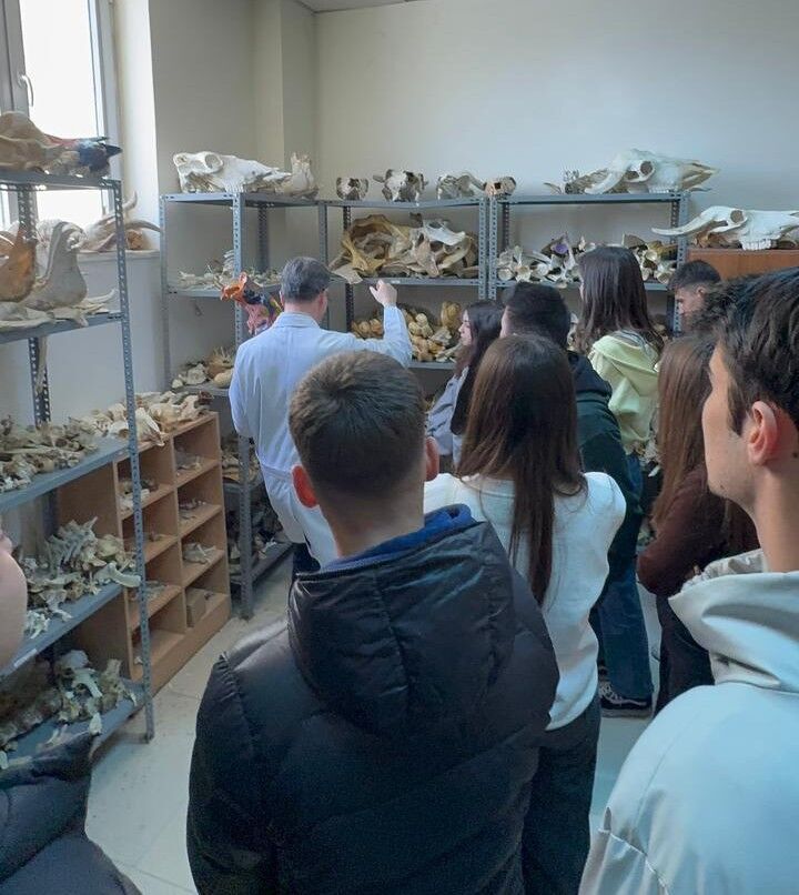 680467209 1404600211697166 8375750683138885310 N