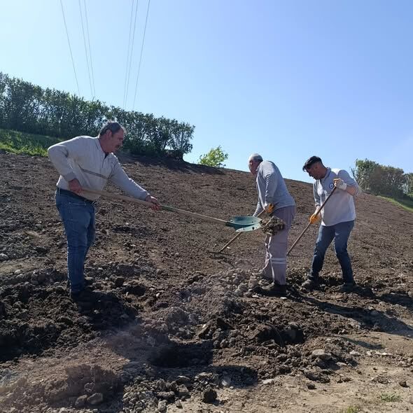 681506633 971759648548394 6777398793035252606 N