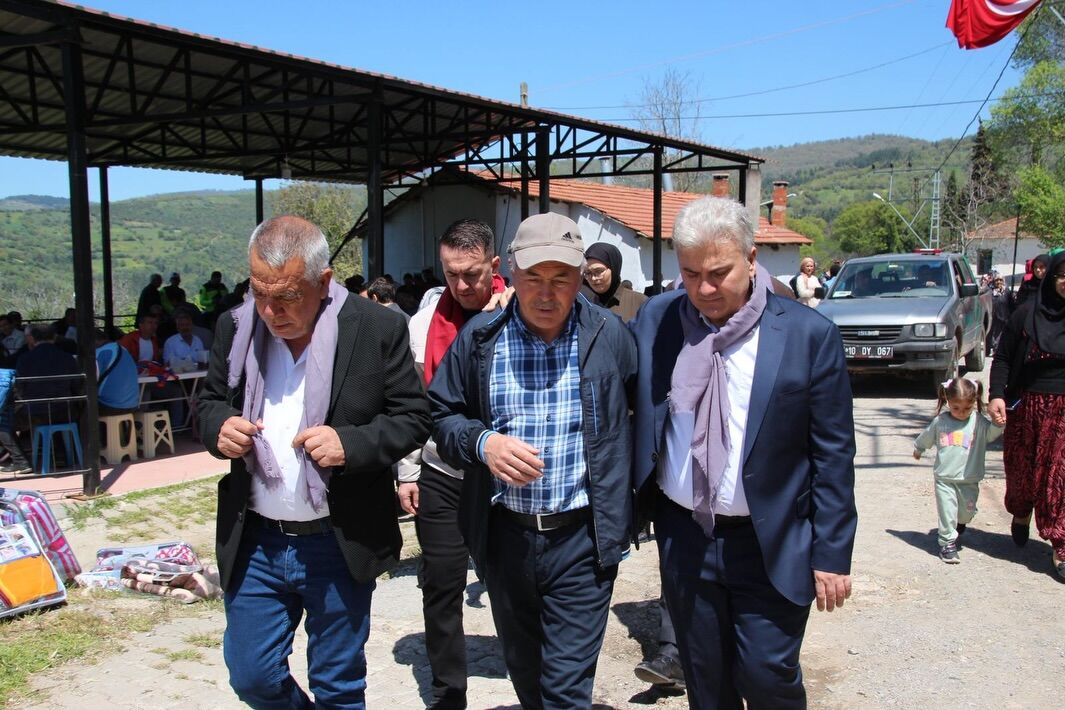 684154954 18347548882214612 868971992571771028 N