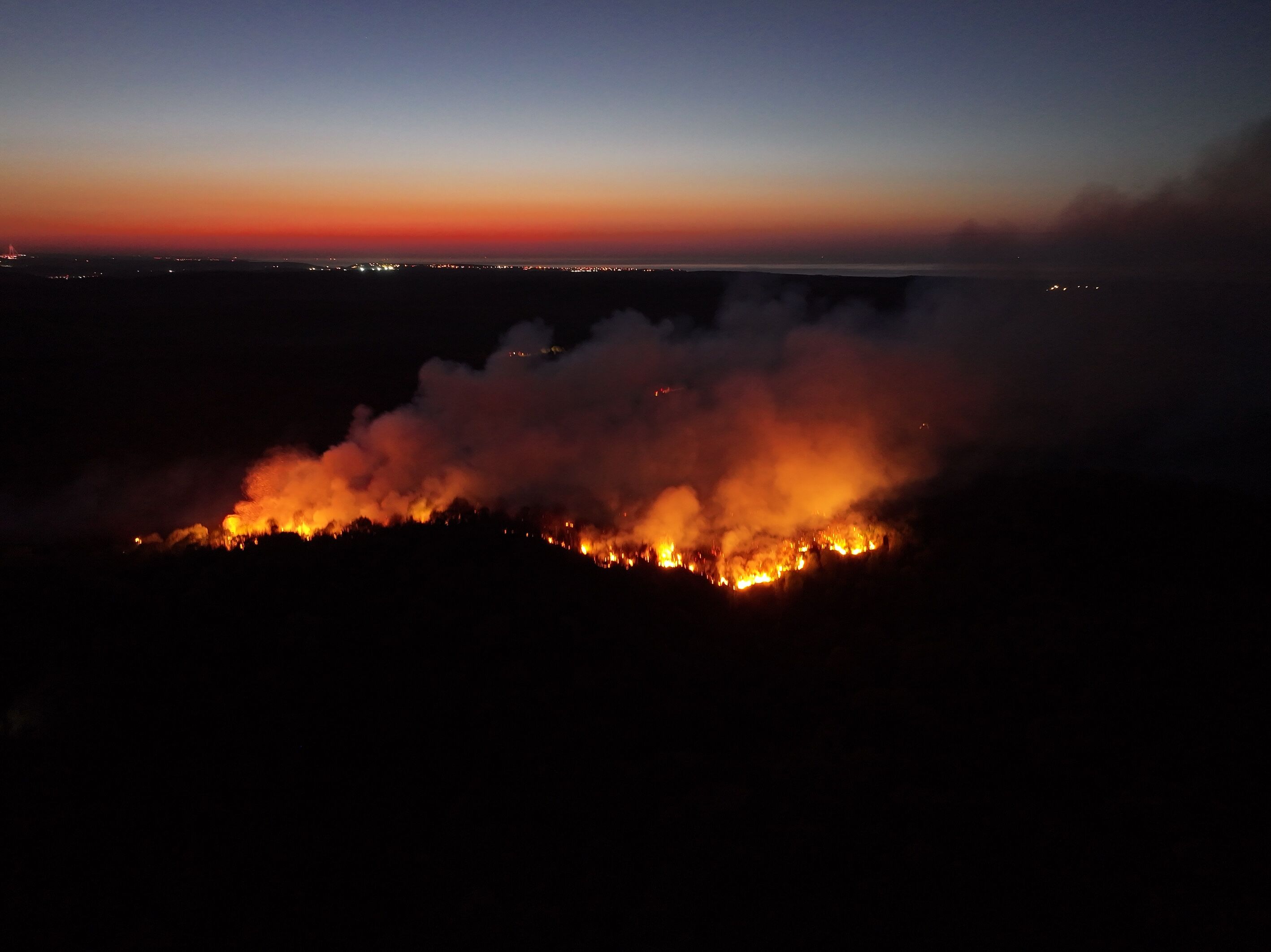 A A 20260426 41219831 41219829 B E Y K O Z D A O R M A N L I K A L A N D A C I K A N Y A N G I N A M U D A H A L E S U R U Y O R