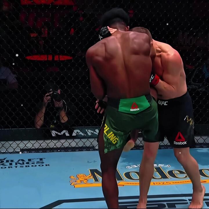 Aljamain Sterling Yusuf Zelal