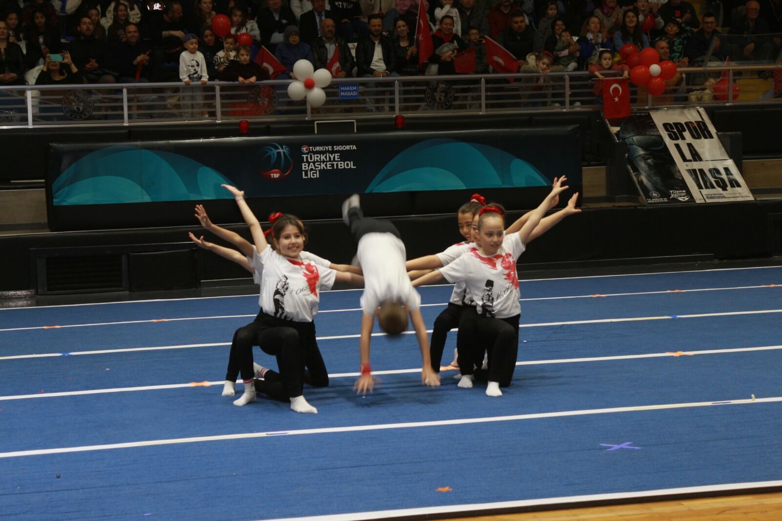 Bed20559 2F60 45E5 Ba77 42C81C3B47Bd