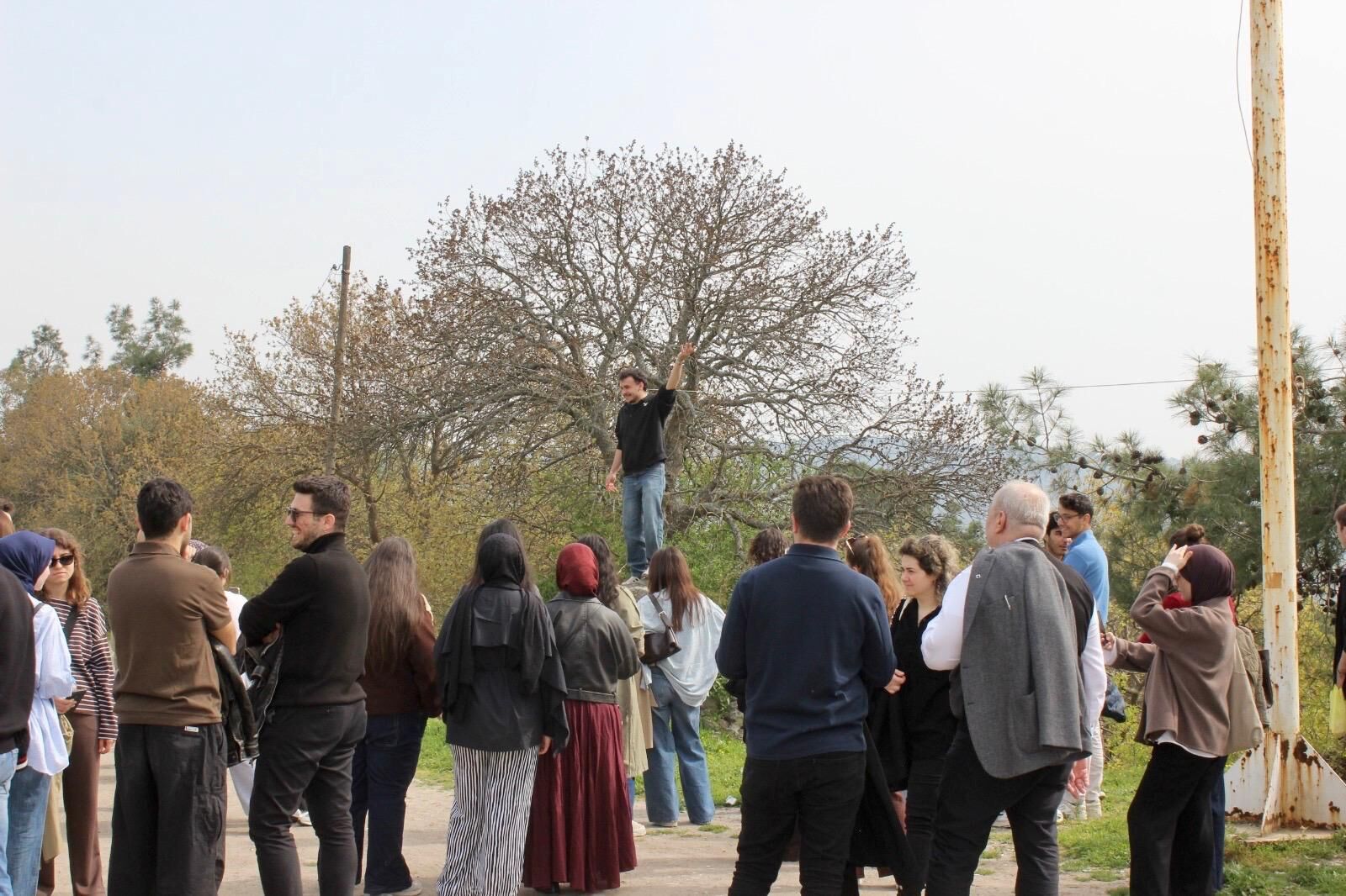 F9172536 E8F8 4D60 886A 46A2290F431C