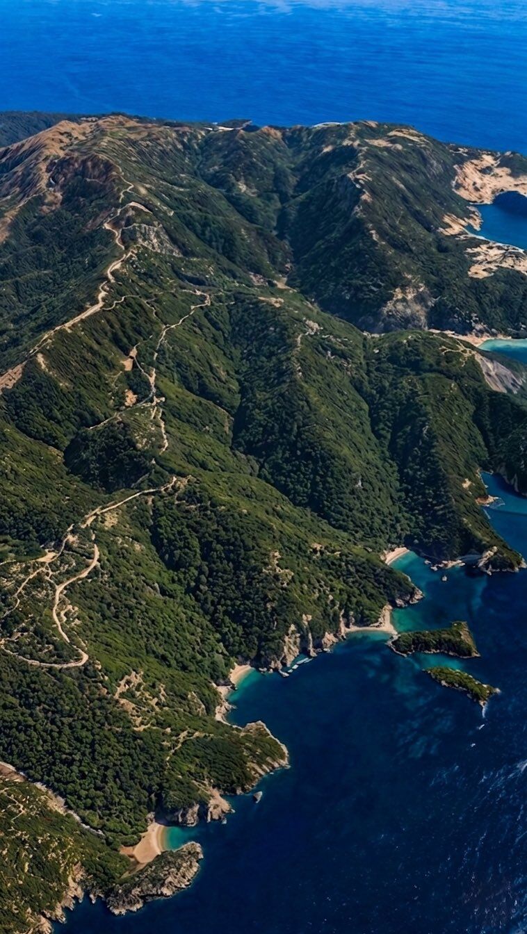 H F O K Jesb E A A5 W E B