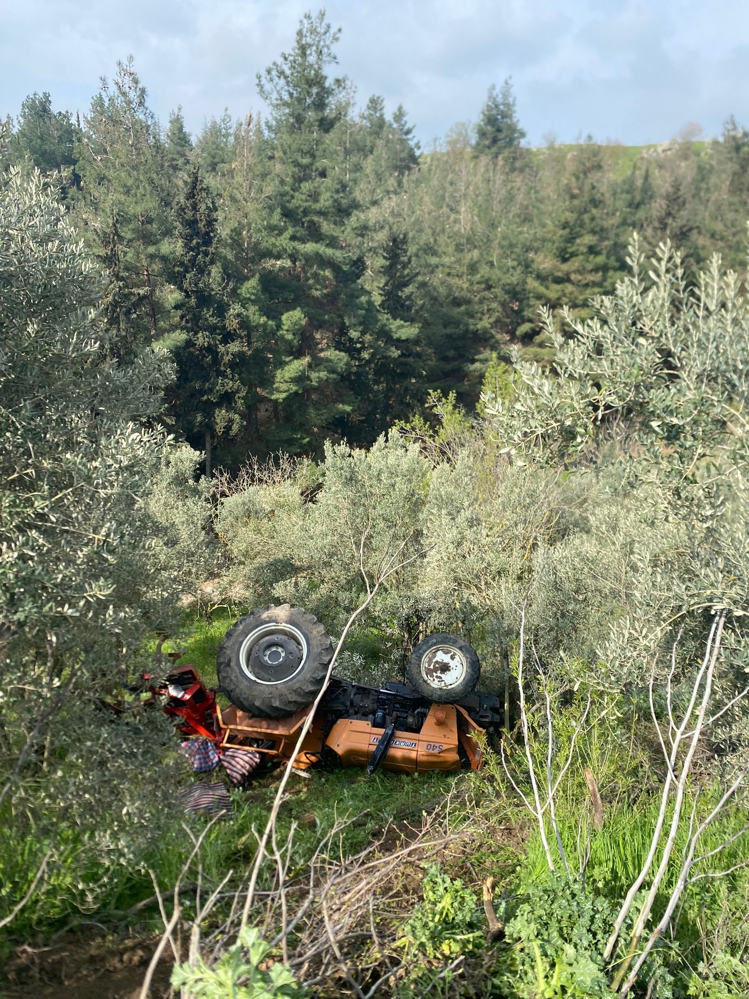 Whatsapp Image 2026 04 11 At 11.16.14 (1)-1