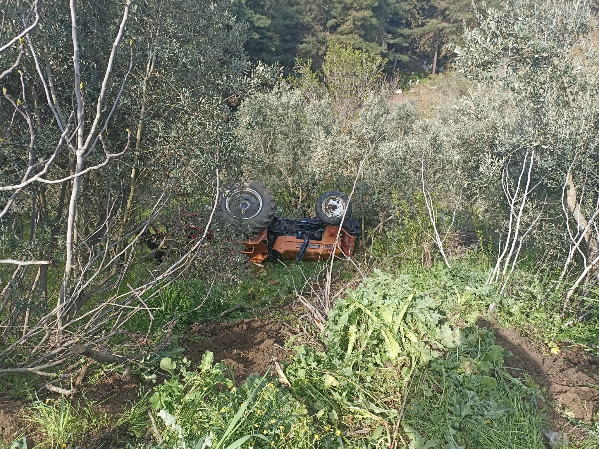 Whatsapp Image 2026 04 11 At 11.16.14 (1)