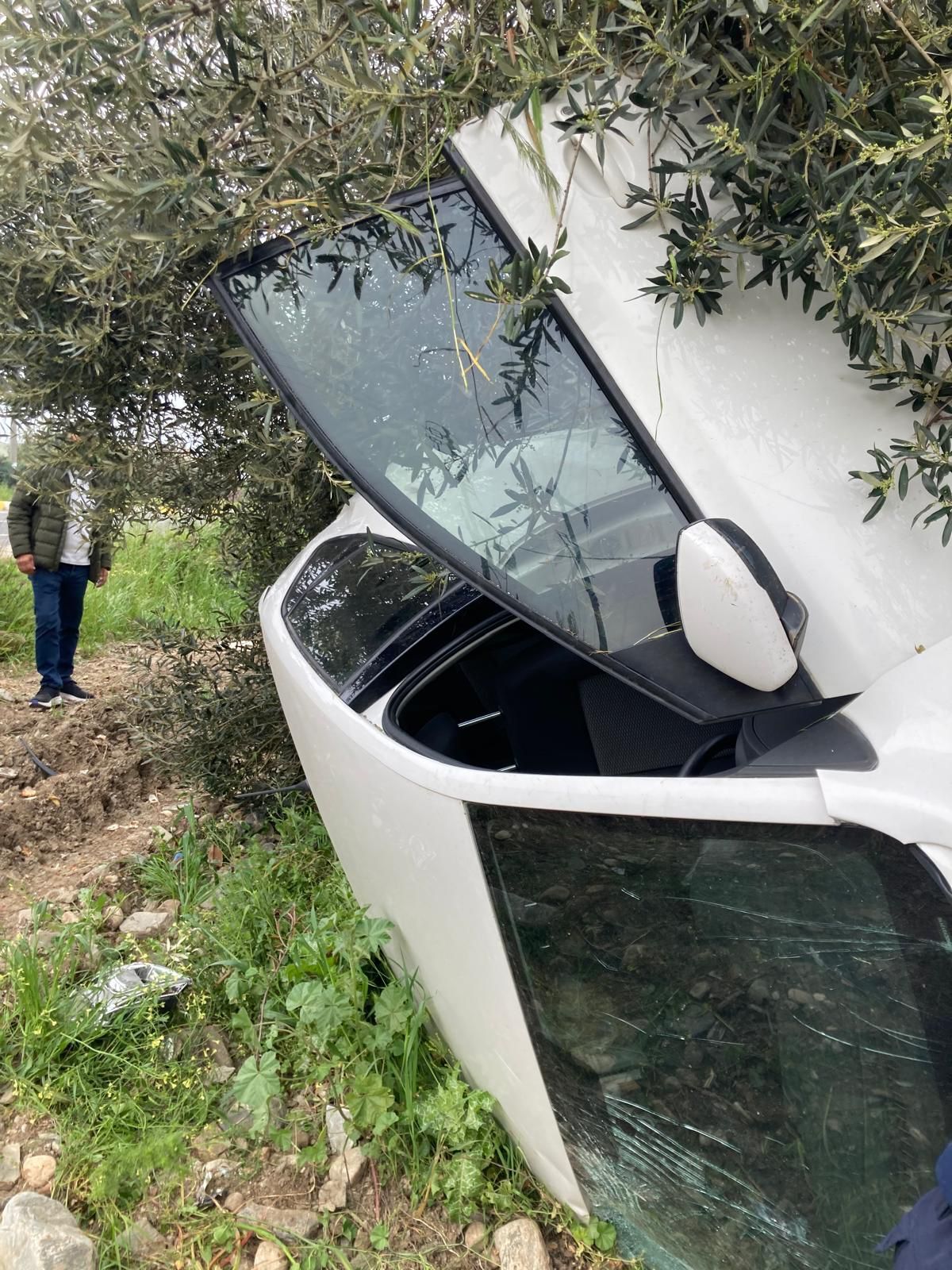 Whatsapp Image 2026 04 17 At 10.41.56