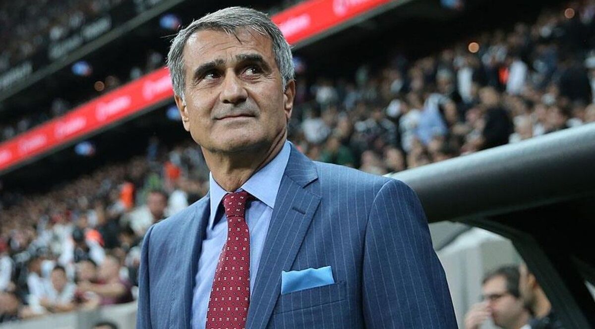 Şenol Güneş-2