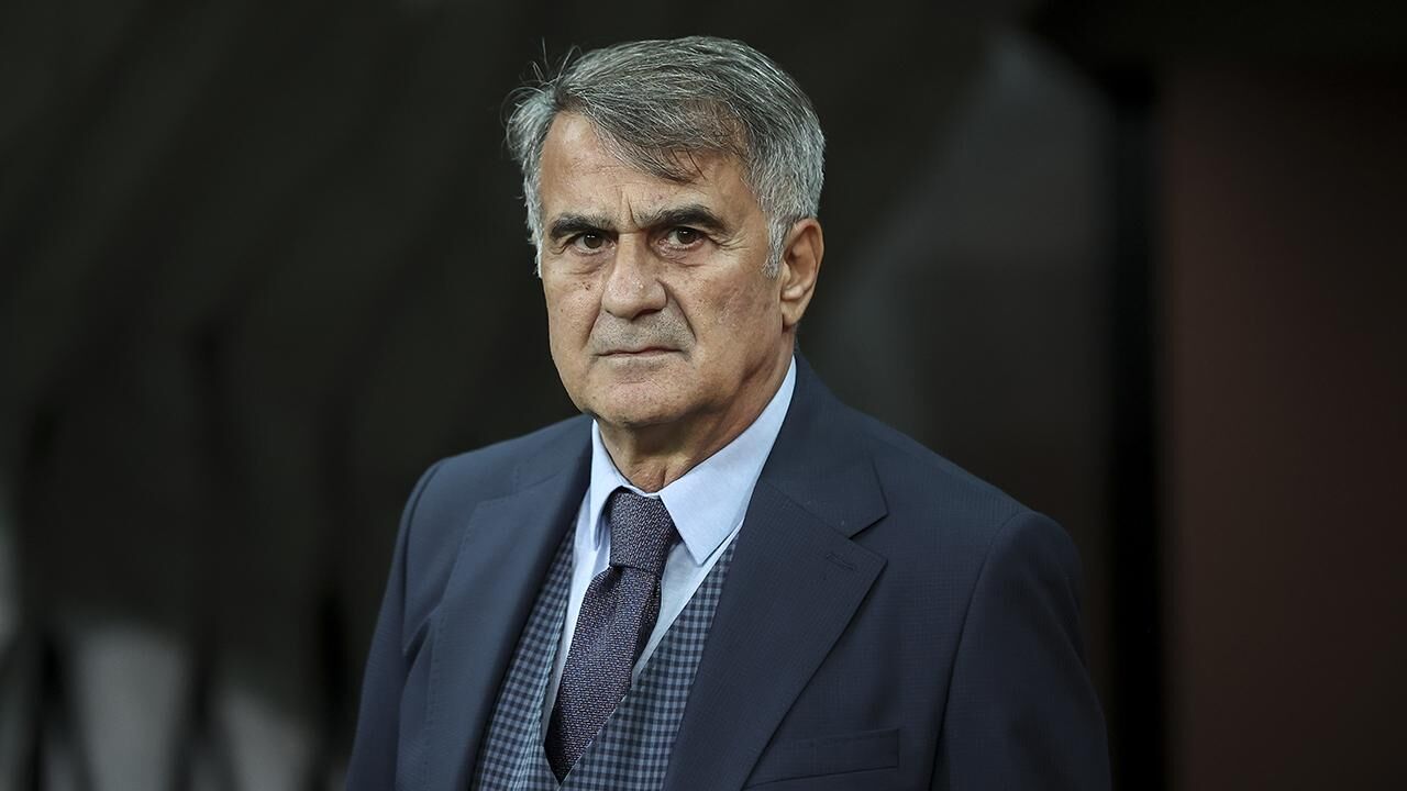 Şenol Güneş-3