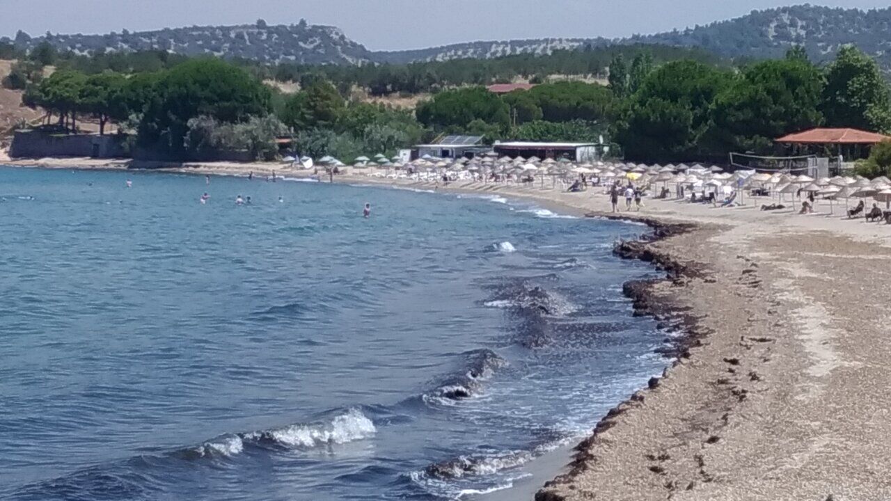 Gülpınar1