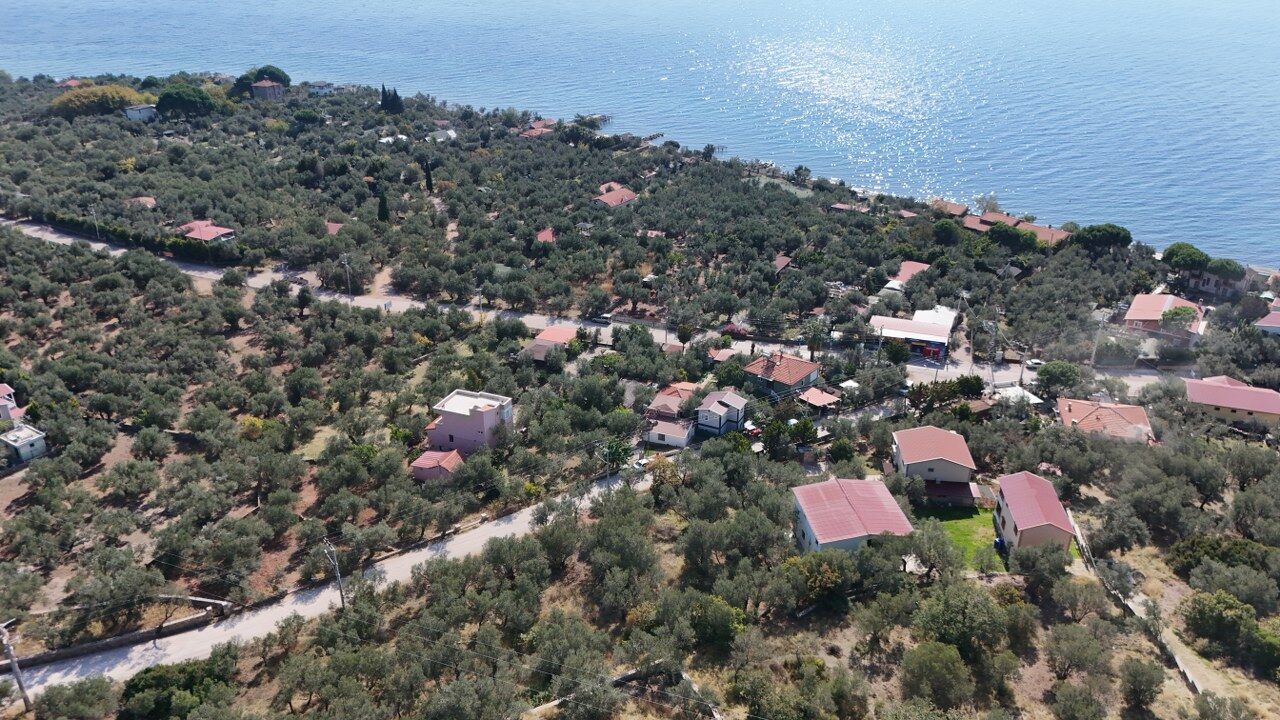 Sazlı